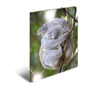 Sammelmappe Glossy Tiere A3 PP Koala