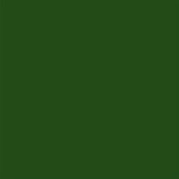 Serviette Zellstoff 25 x 25 cm 20er Packung dunkelgrün