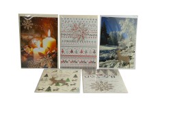 Karte Weihnachten "Exklusiv" 1, 10er Packung, 10 Motive