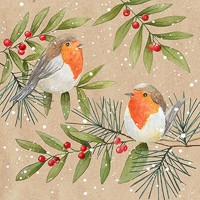 Serviette Weihnachten "Two Robins" 33 x 33 cm 20er Packung